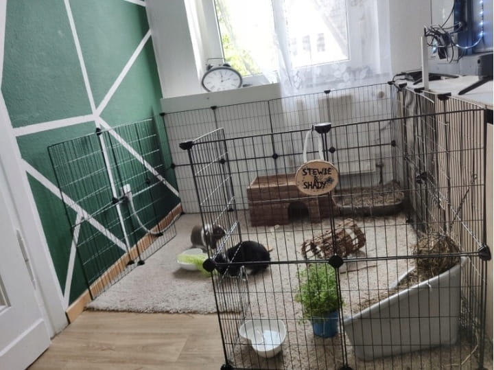 7aa85d25e2c319543415ddd44baecce3