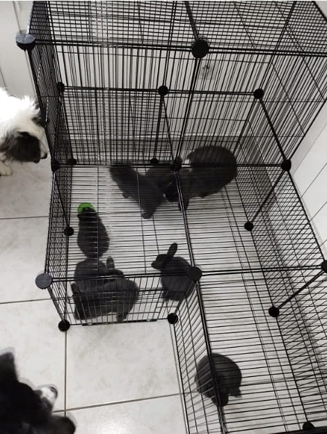 83b994e09ba37bb24c0ea169f0576b4a