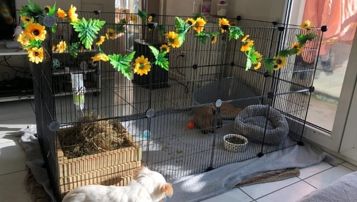 28a55f5194e9966f3f20a08f6b1aae42